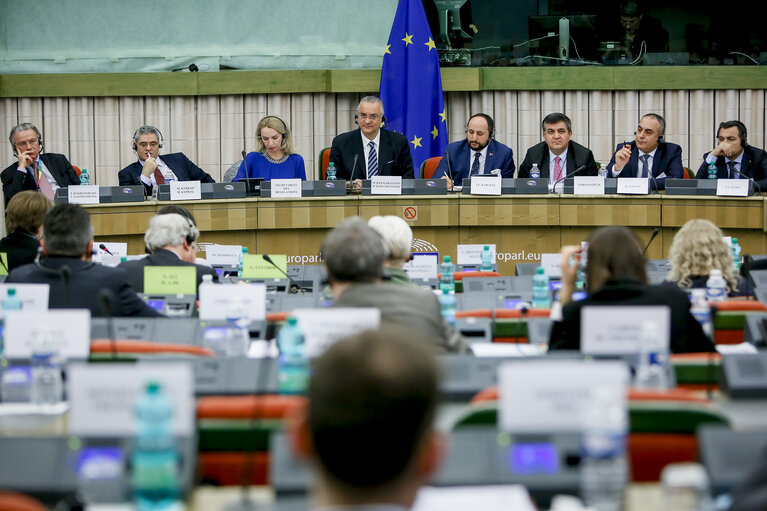 Fotografija 17: EU-Turkey delegation meeting