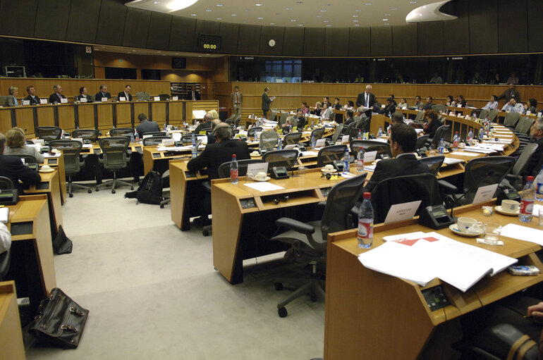 Foto 1: ECON committee meeting with the Vice-President of the European Central Bank ECB.