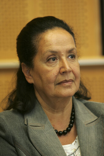 Photo 2: MEP Luciana SBARBATI attends a meeting in Brussels