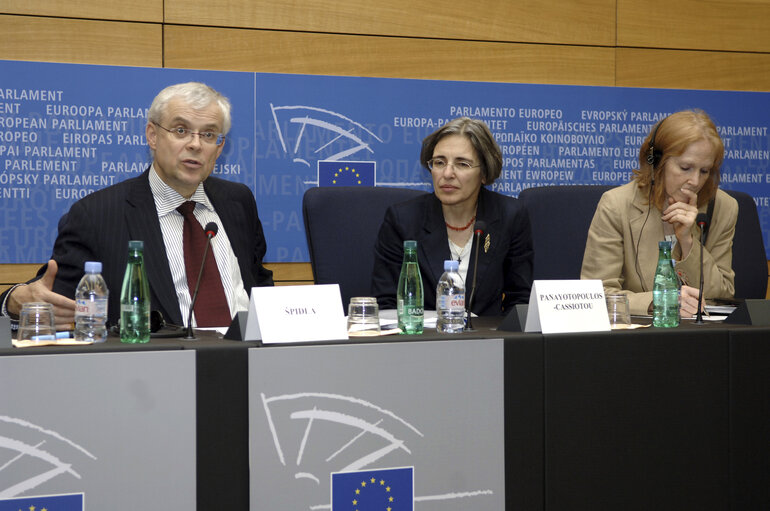 Photo 9 : Press conference following a conference on lone parent families in the EU in Strasbourg