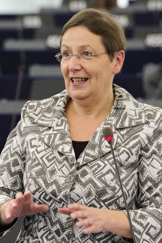 Opening plenary session in Strasbourg, week 46 - Point of order