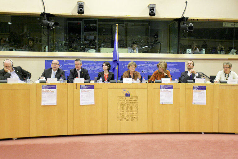 Foto 5: Hearing on  Fundamental Rights