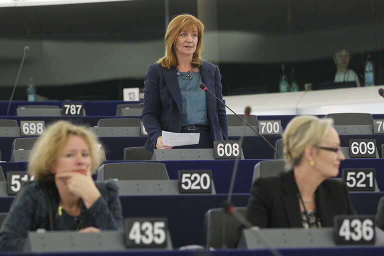 Fotografie 15: Plenary Session in Strasbourg - Week 46