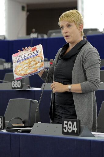 Photo 1: MEP in the hemicycle during the plenary session in Strasbourg - Week 27