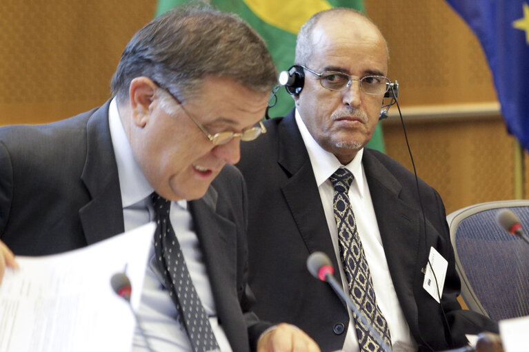 Fotografija 6: 7th Interparliamentary and European Parliament meeting with Islamic Republic of Mauritania