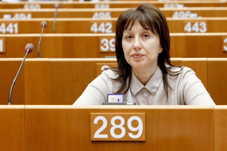 Photo 8 : Plenary session in Brussels - week 25