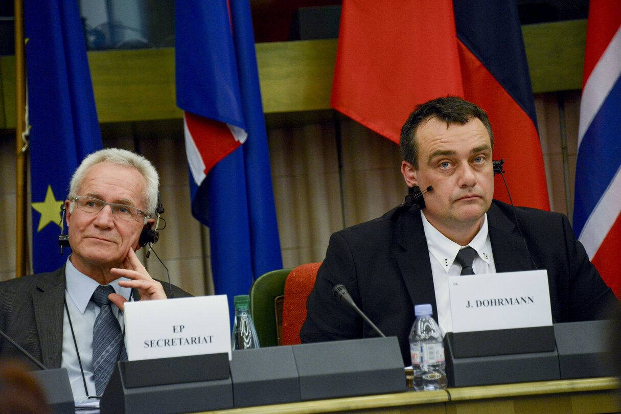 43rd meeting of the European Economic Area Joint Parliamentary Committee