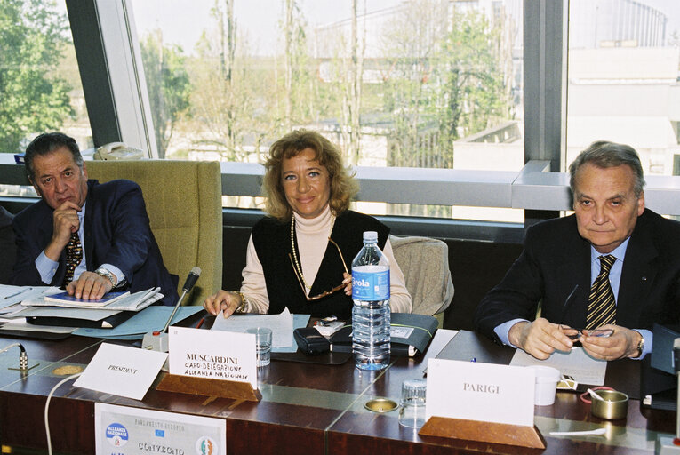 Fotografie 1: Meeting at the European Parliament