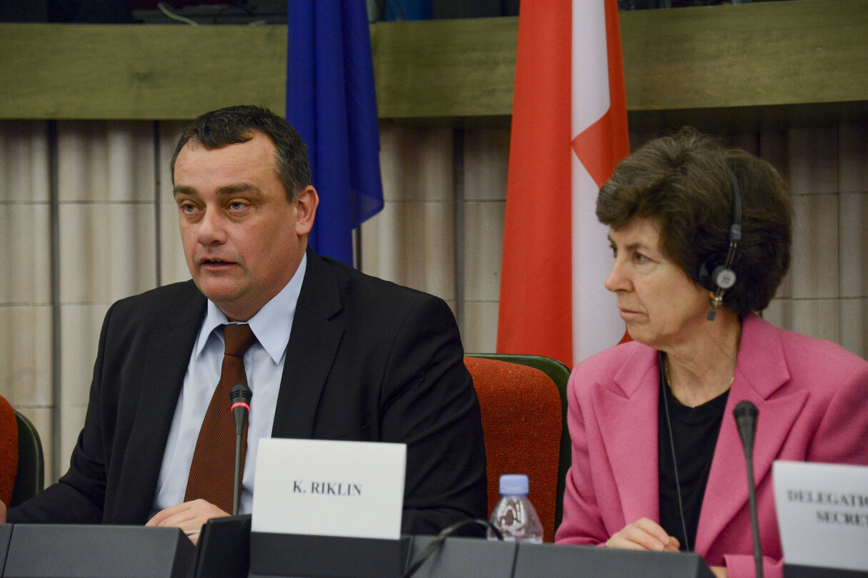 43rd meeting of the European Economic Area Joint Parliamentary Committee (EEA JPC)