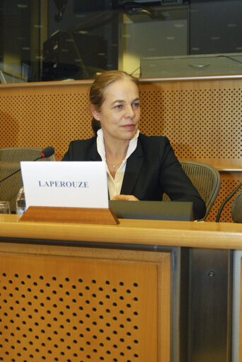 MEP during a meeting