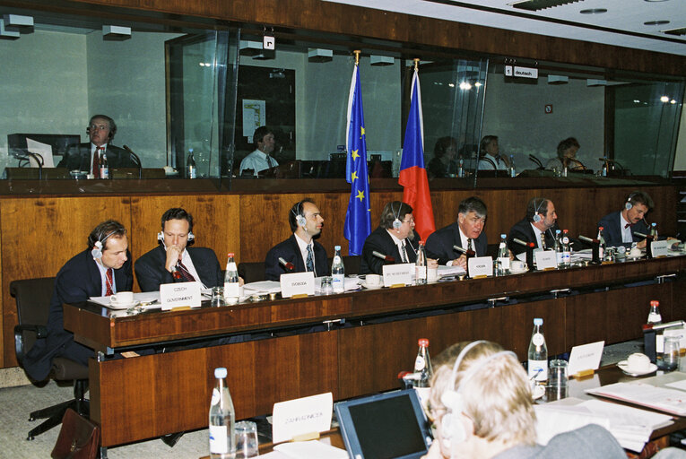 Снимка 1: EU-Czech Republic Joint Committee meeting