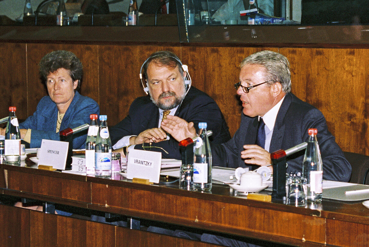 Foreign affairs committee meeting - Hearing of the OSCE special envoy to Albania