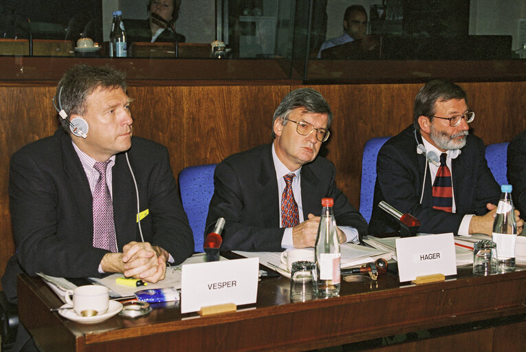 Foto 1: Committee on Budgets meeting - hearing of experts