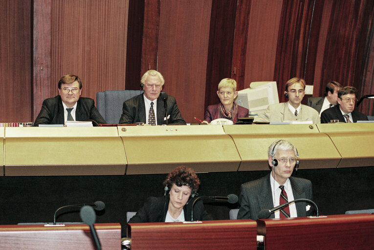 Fotografi 1: Plenary Session in Strasbourg