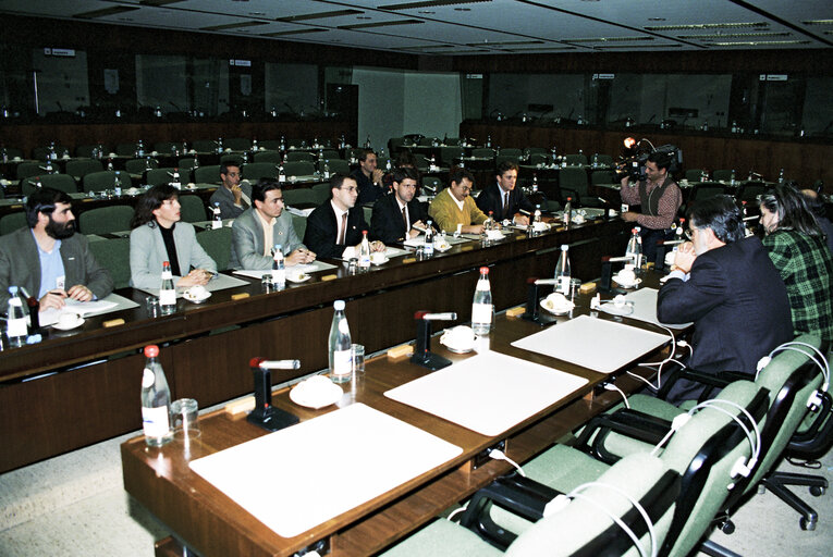 Temporary committee of inquiry into BSE meeting at the European Parliament