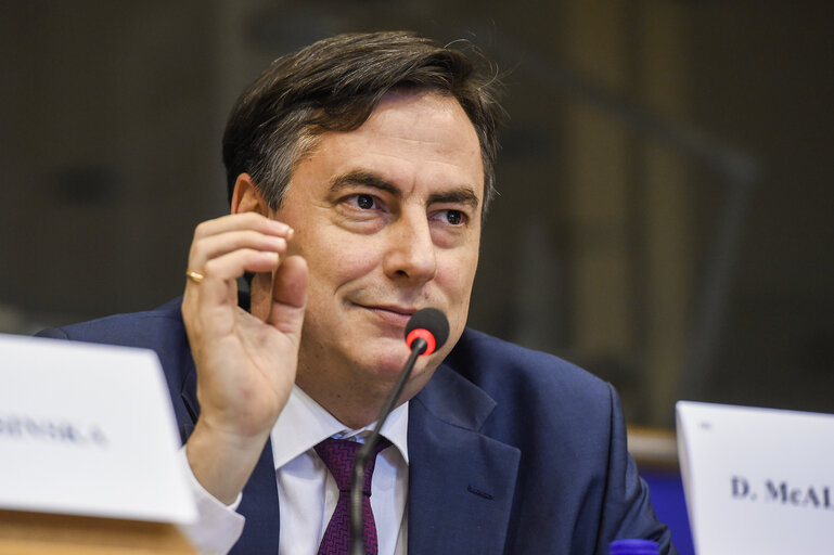 Conference: ' Strengthening Regional Human Rights Defenders' Networks in the Western Balkans, Eastern Europe and Turkey '- The Foreign Affairs Committee of the European Parliament - its role in setting the EU foreign policy, challenges and opportunities