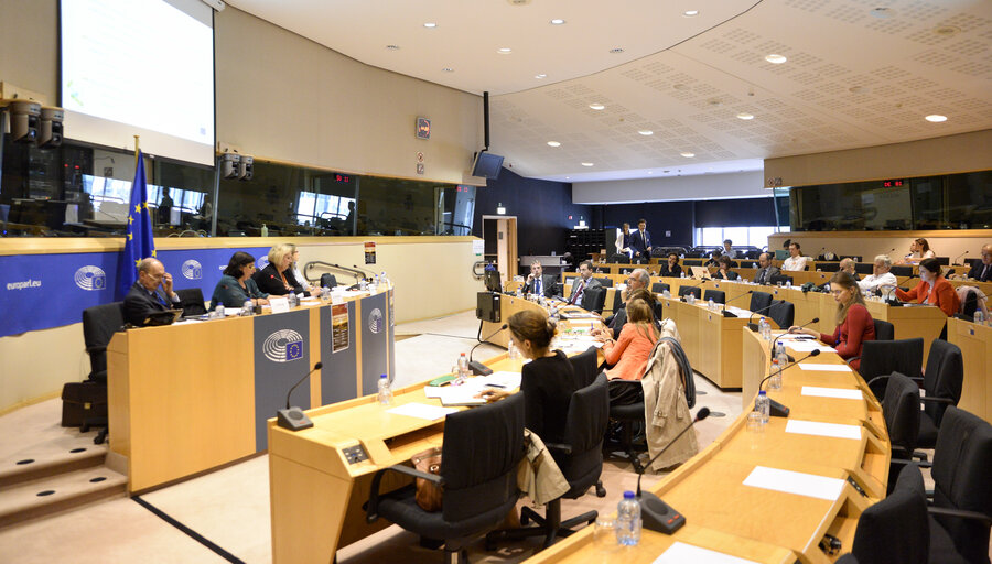 Photo 9 : STOA workshop ' Innovative financing for cross-border transport '