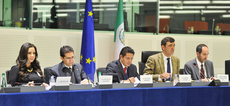 Fotagrafa 8: 16th EU-Mexico meeting