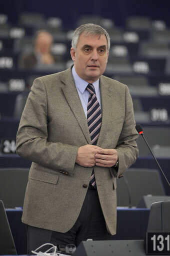 Fotografie 27: Plenary Session Week 47 2013 in Strasbourg