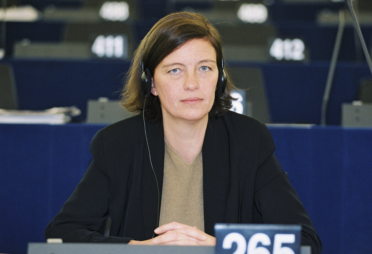 meP Christine DE VEYRAC at the European Parliament