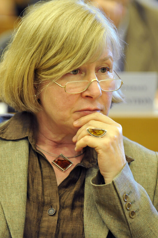 Heide RUHLE in a meeting at the EP in Brussels.