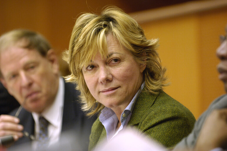 MEP Pilar del CASTILLO VERA attends a meeting in Brussels