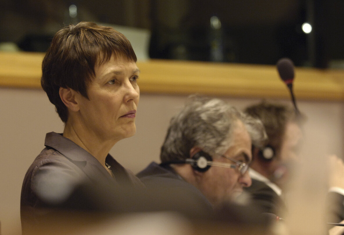 MEP Satu HASSI attends a meeting in Brussels