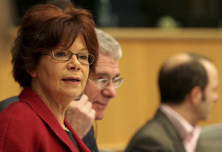 Fotografie 1: MEP Gisela KALLENBACH attends a meeting in Brussels