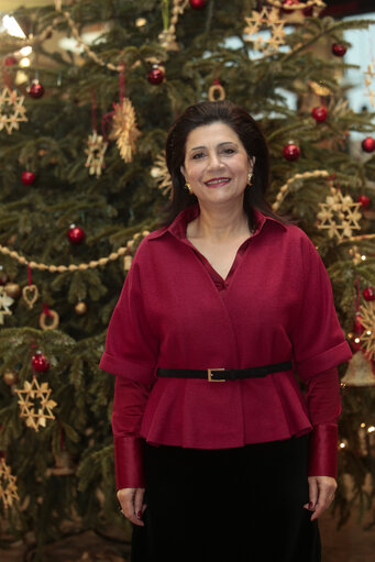 Zdjęcie 3: Portrait of MEP Rodi KRATSA-TSAGAROPOULOU in front of Christmas tree