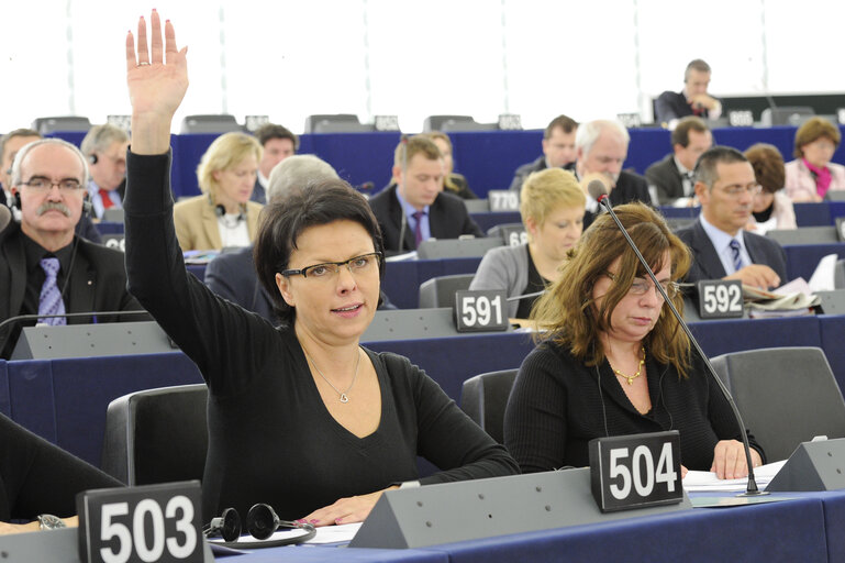 Φωτογραφία 1: Malgorzata HANDZLIK during votes at the plenary session in Strasbourg