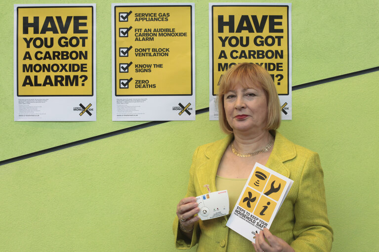 CO Carbon monoxide Demonstration