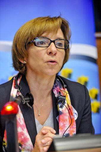 Hearing: Facing the threat of piracy: current challenges and possible solutions