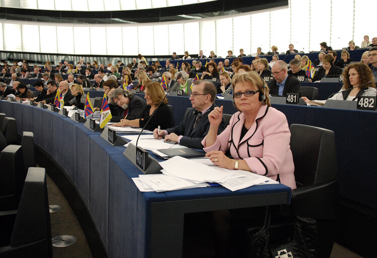 Foto 1: Siiri OVIIR MEP in plenary session in Strasbourg.