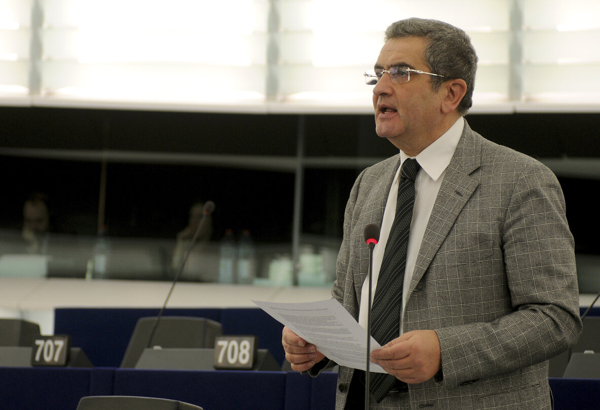 Vincenzo LAVARRA in Plenary Session in Strasbourg.