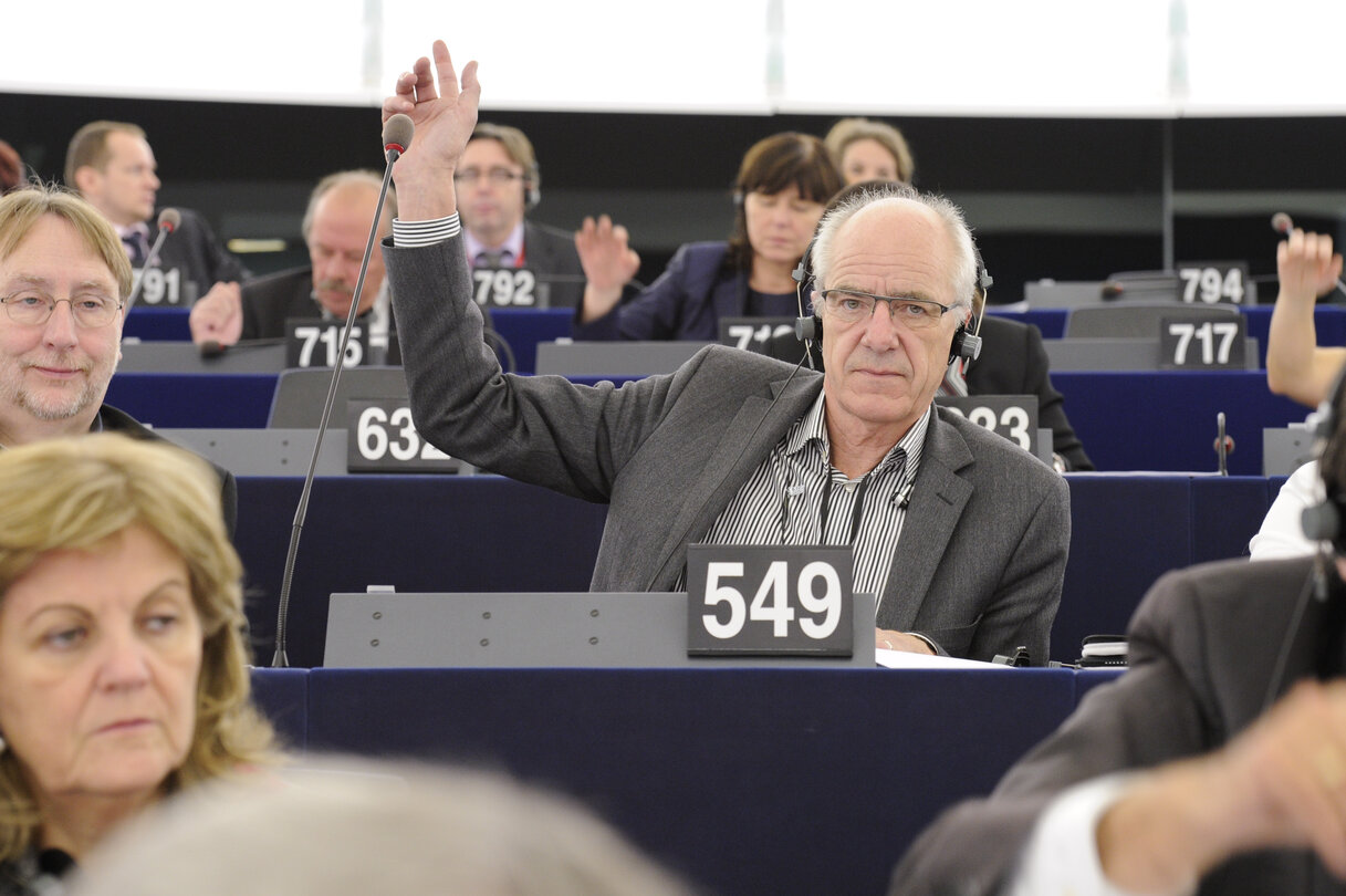 Olle LUDVIGSSON votes at the plenary session in Strasbourg