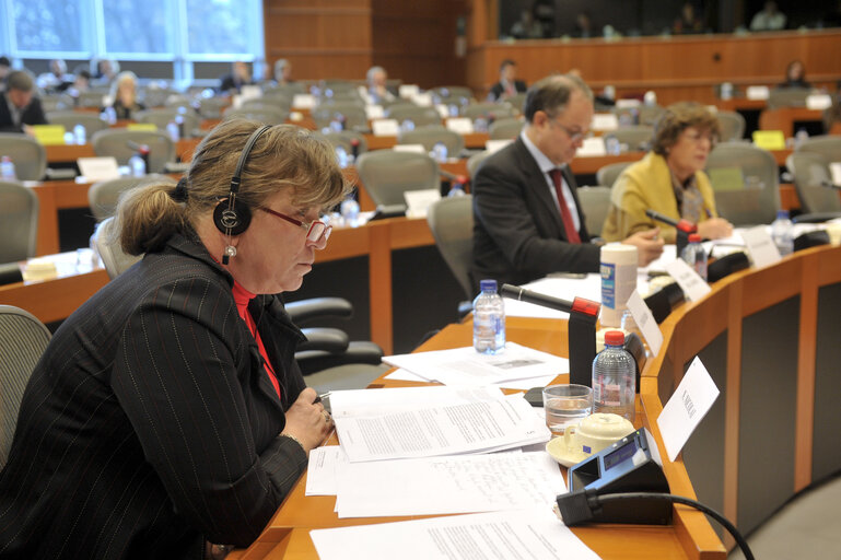 Снимка 7: SEDE subcommittee meeting The EU Strategy for the Sahel