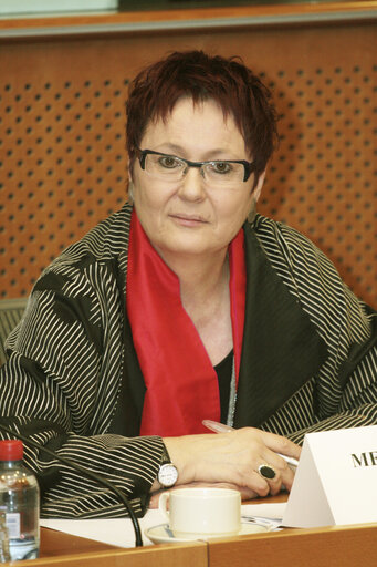 Photo 2 : MEP Karin JONS