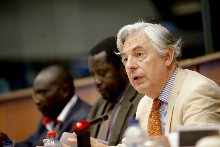 Fotografija 5: Meeting 'How the EU can help to ensure that elections in Zimbabwe are free and fair.'