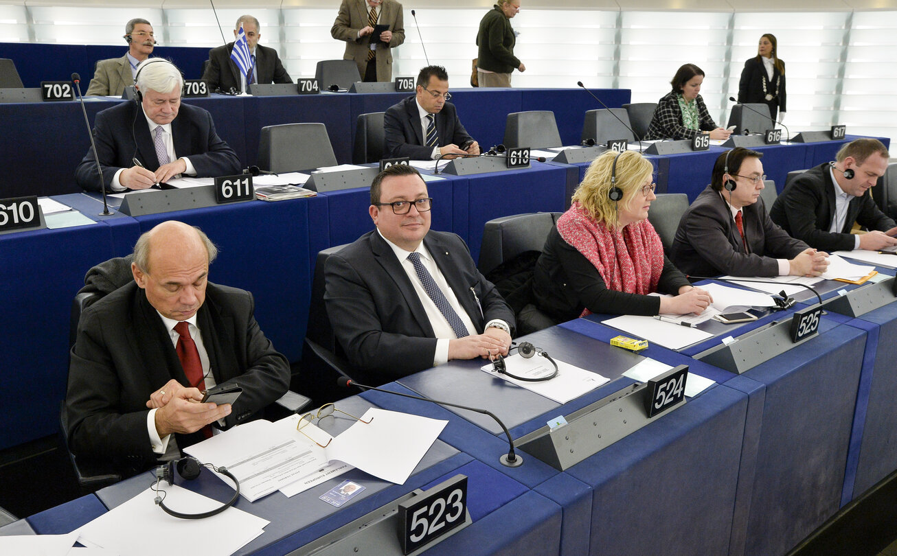 Plenary session week 51 2014 in Strasbourg -