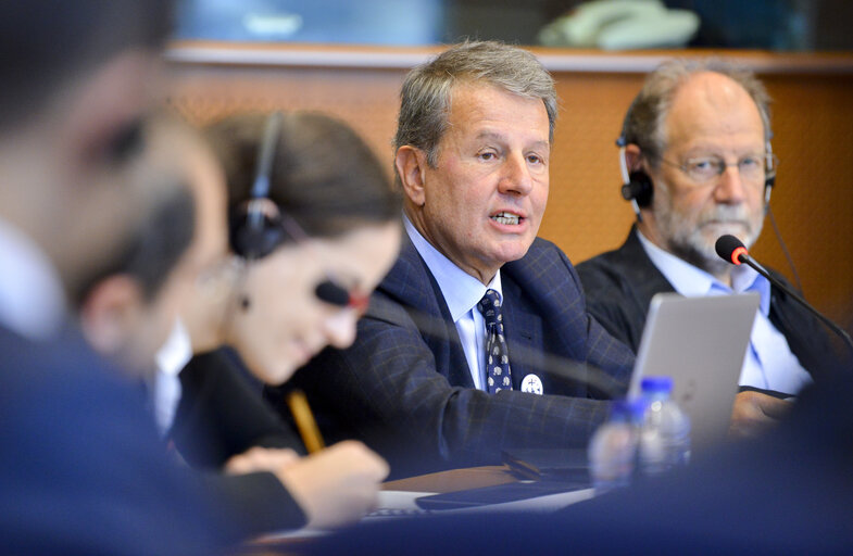 TRAN Committee Meeting: The Lyon-Turin tunnel project: stopping a  disastrous scheme