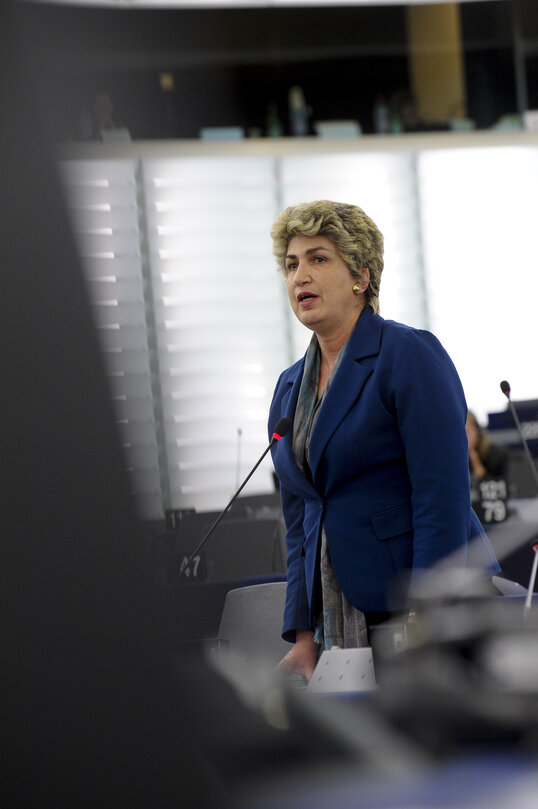 Plenary session week 43 2014 in strasbourg - Preparation of the European Council (23-24 October 2014)  Council and Commission statements