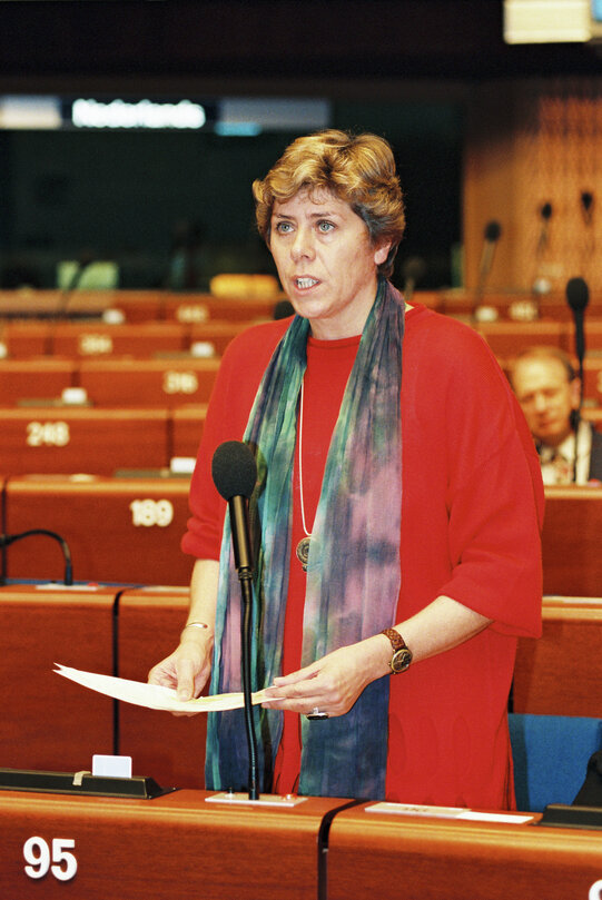 Plenary session in Strasbourg