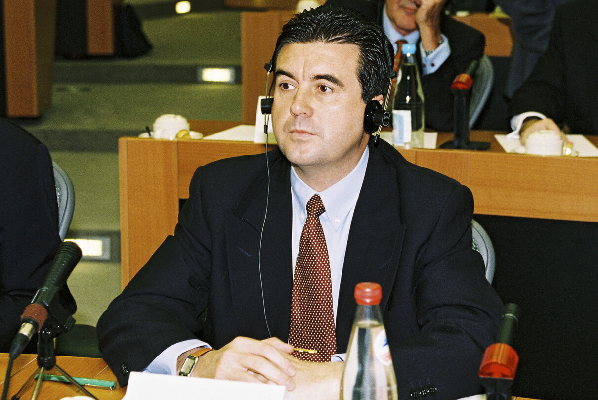 Committee on Regional Policy on the Problems of the EU's Island Regions in Strasbourg on January 1, 1998.