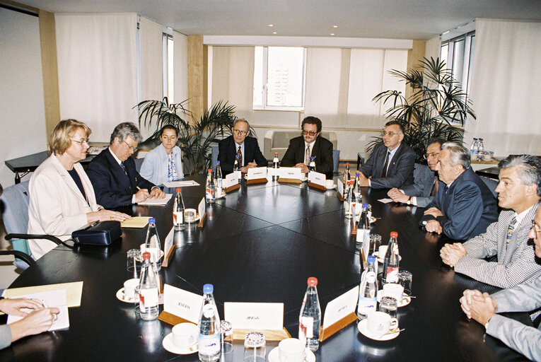 Fotografija 1: Meeting with the Speaker of the Chamber of Deputies of Romania at the European Parliament in Brussels