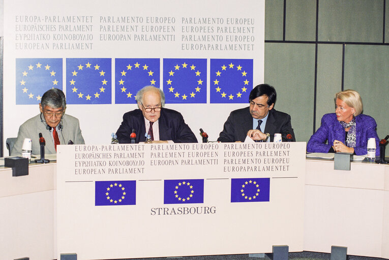 EP-Japan delegation press conference