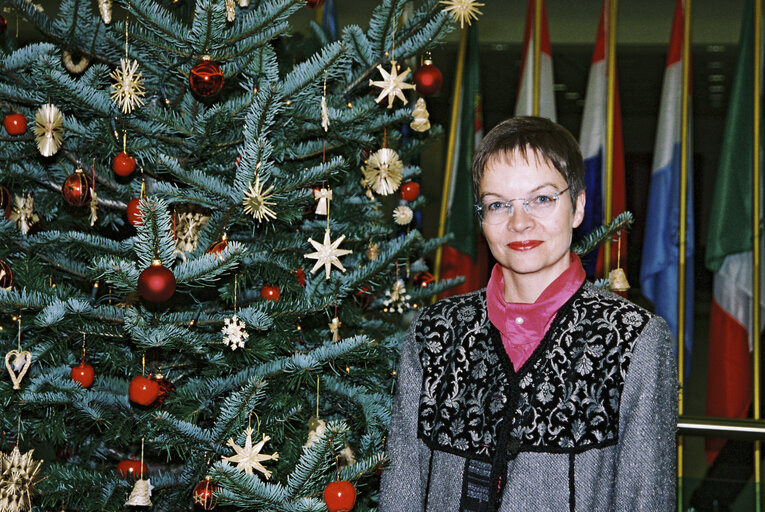 Foto 1: Christmass tree in Brussels in December 1998.