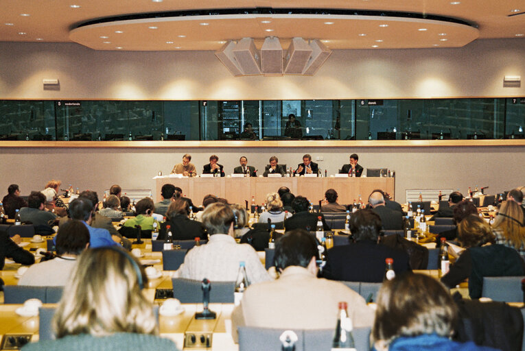 Billede 1: Meeting at the European Parliament