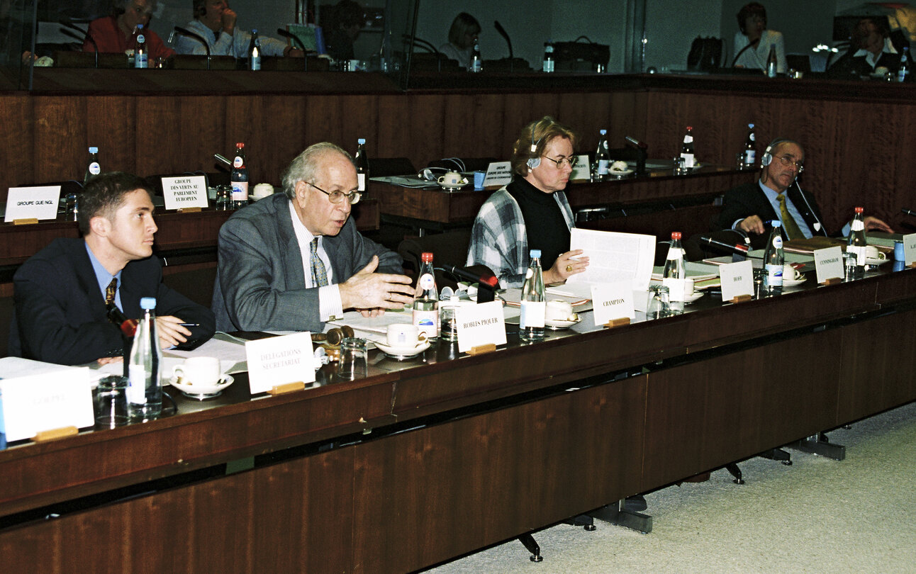 SEDE sub-committee meeting at the European Parliament