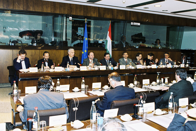 Zdjęcie 1: EU-Hungary Joint Parliamentary Committee