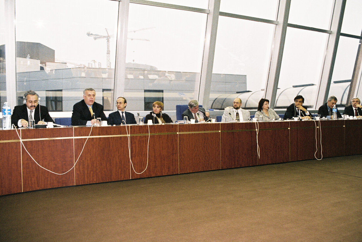 Meeting at the European Parliament in Brussels